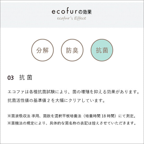 エコファシックハウス対策スプレー(300mlタイプ)有害物質の分解、抗菌、消臭効果 【ECOFUR】 単品 【代引不可】