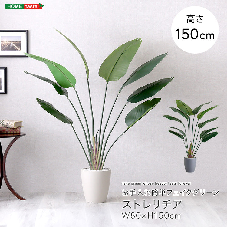お手入れ簡単フェイクグリーン ストレリチア Mサイズ(150cm) インテリア 【代引不可】【北海道・沖縄・離島配送不可】
