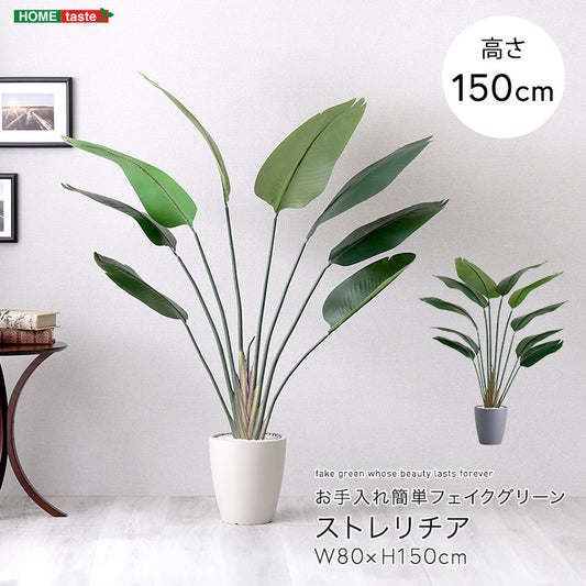 お手入れ簡単フェイクグリーン ストレリチア Mサイズ(150cm) インテリア 【代引不可】【北海道・沖縄・離島配送不可】