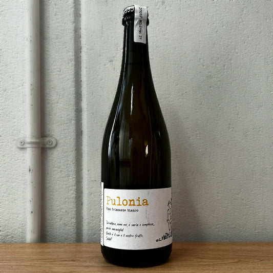 アンゴル・ダミグプローニャ2021Angold'Amigワイン白ワイン750mlイタリアスパークリングワインフリッツァンテ自然派ワインAD-PULONIA2021