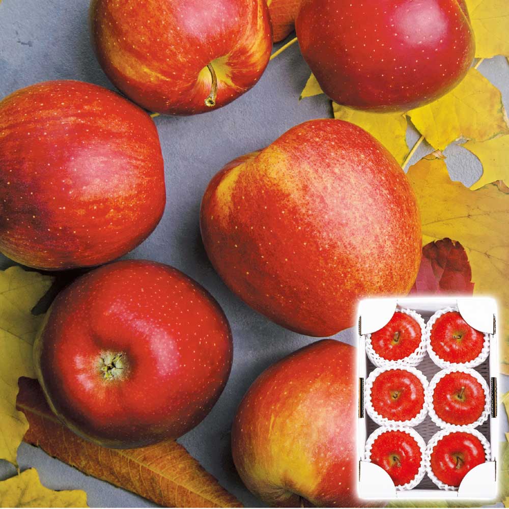 いずみ会の山形産サンふじ秀品約2kgお歳暮ギフト年末贈り物贈答一年の感謝を込めて自分へのご褒美【代引不可】【同梱不可】