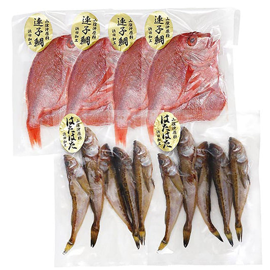 連子鯛開き干しとハタハタ丸干し産地直送ギフトプレゼント贈り物自分へのご褒美うまいもんARC-052【代引不可】【同梱不可】