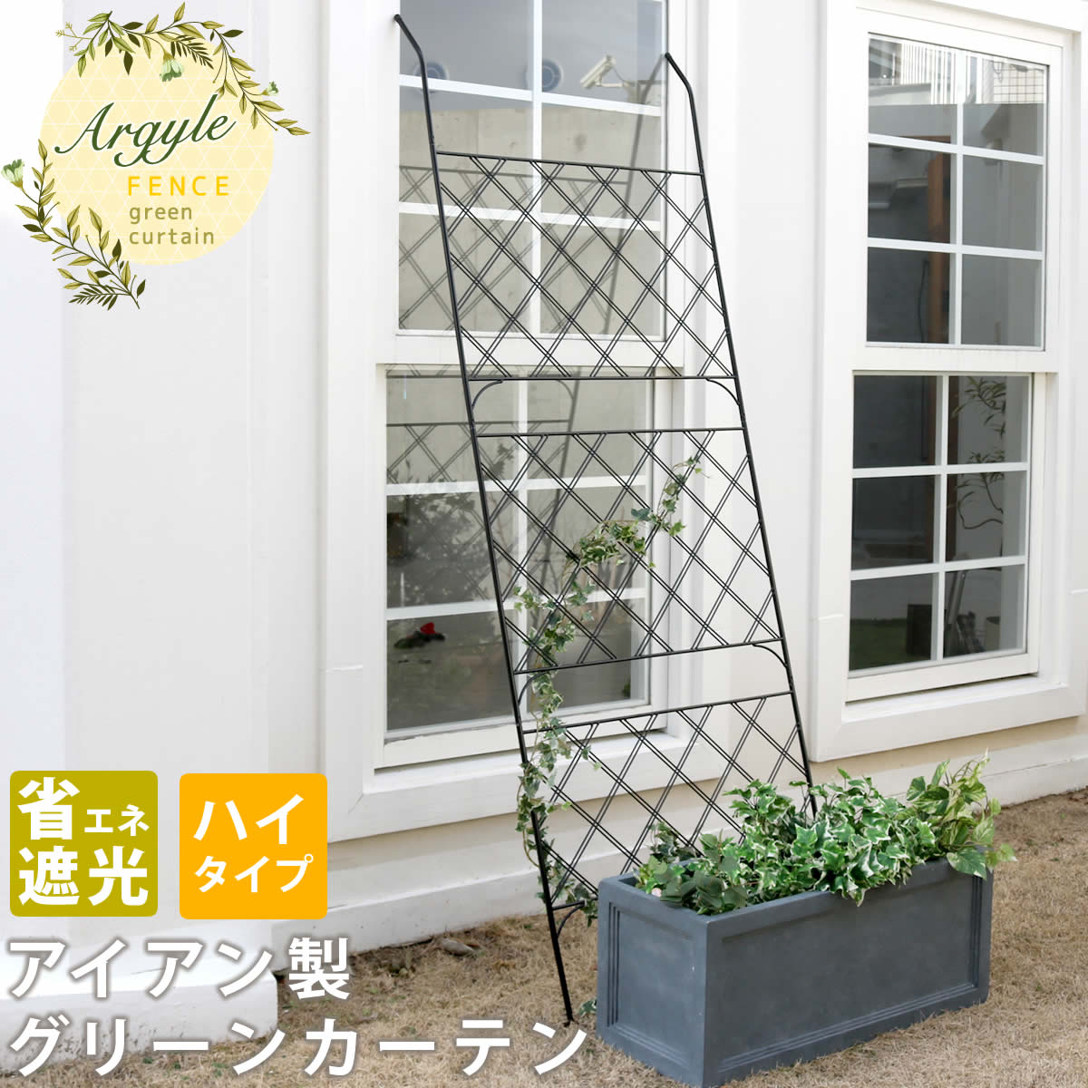 アイアン製グリーンカーテン アーガイル 【送料無料 フェンス アイアン グリーンフェンス ゴーヤ 薔薇 バラ 朝顔 庭 ベランダ ガーデニング 枠 柵 仕切り 目隠し 境目 アンティーク トレリス 園芸 ラティス 屋外 】