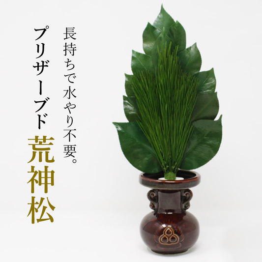 プリザーブド荒神松プレミアム三宝松Mサイズ(一束)椿葉とみやこ松を特殊加工長持ち水不要【代引不可】【同梱不可】