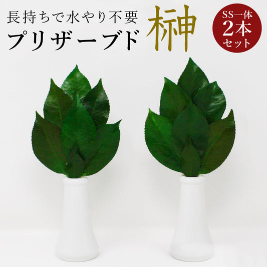プリザーブド榊プレミアムSSサイズ(一対)椿葉を実用新案取得製法加工長持ちし水やり不要【代引不可】【同梱不可】
