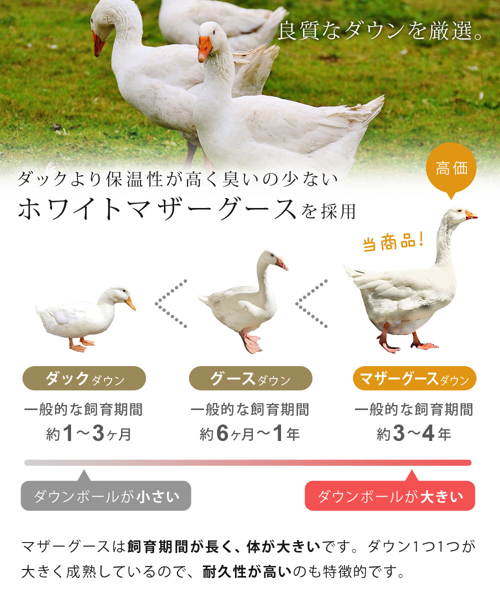 Sun Ruck 羽毛布団 ホワイトマザーグースダウン 95% 増量1.5kg 440dp 安心の日本製 アレルG加工 秋冬用 無地 抗菌 防臭 セミダブル A784DZ