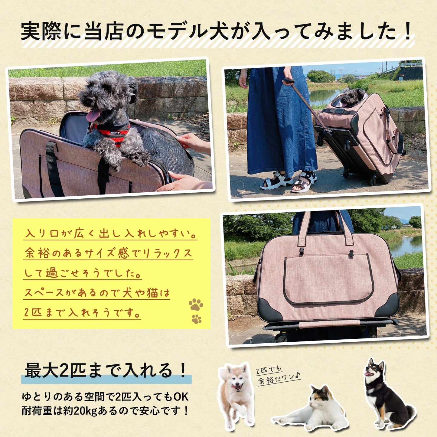 【当店限定180日延長保証】 Sun Ruck ペットキャリー 折りたたみ キャスター付き 小型犬 中型犬 猫 ハンドル付き ペットキャリーバッグ ペットキャリーカート ペットバッグ ペットカート ペット用品 SR-PCR01 犬用品 猫用品