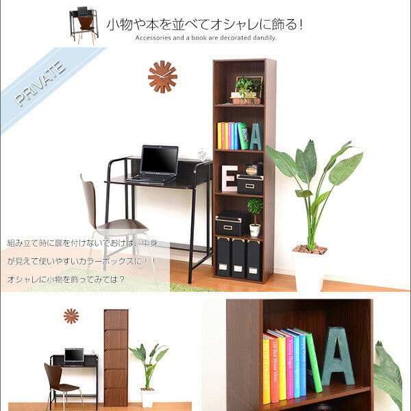カラーボックス 扉付き 5段 A4サイズ収納OK！ 【-5ivox-フィボックス】 収納ボックス 本棚 テレビボード 小物 リビング収納 キッチン収納 マルチラック 収納ラック キャビネット スリム 木目調 おしゃれ 一人暮らし 新生活 【代引不可】