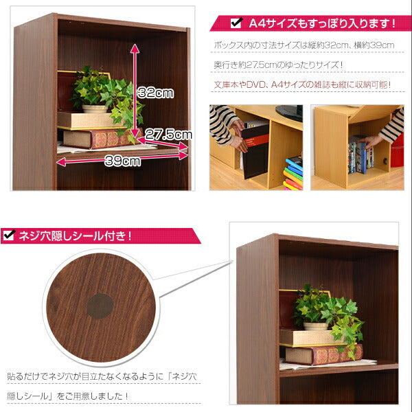 カラーボックス 扉付き 5段 A4サイズ収納OK！ 【-5ivox-フィボックス】 収納ボックス 本棚 テレビボード 小物 リビング収納 キッチン収納 マルチラック 収納ラック キャビネット スリム 木目調 おしゃれ 一人暮らし 新生活 【代引不可】
