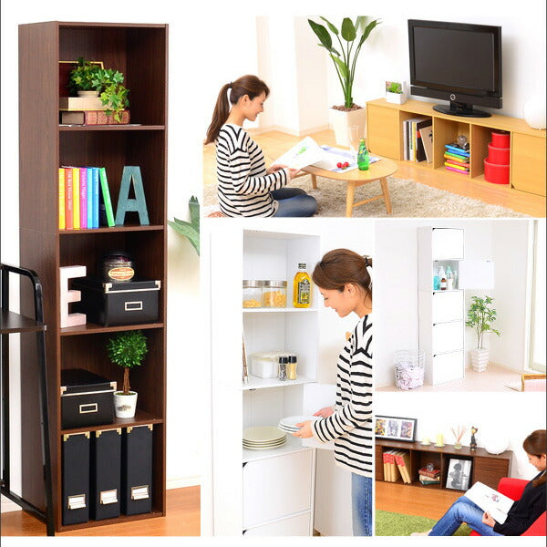 カラーボックス 扉付き 5段 A4サイズ収納OK！ 【-5ivox-フィボックス】 収納ボックス 本棚 テレビボード 小物 リビング収納 キッチン収納 マルチラック 収納ラック キャビネット スリム 木目調 おしゃれ 一人暮らし 新生活 【代引不可】