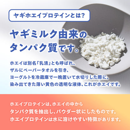 毎日のごちそうヤギミルク 50g 獣医・トリマー監修 犬用 猫用 ミルク ホエイプロテイン 幼犬 シニア犬 無添加 オランダ産 The Mate Tokyo ペット用品 犬用品 猫用品 【代引不可】【同梱不可】