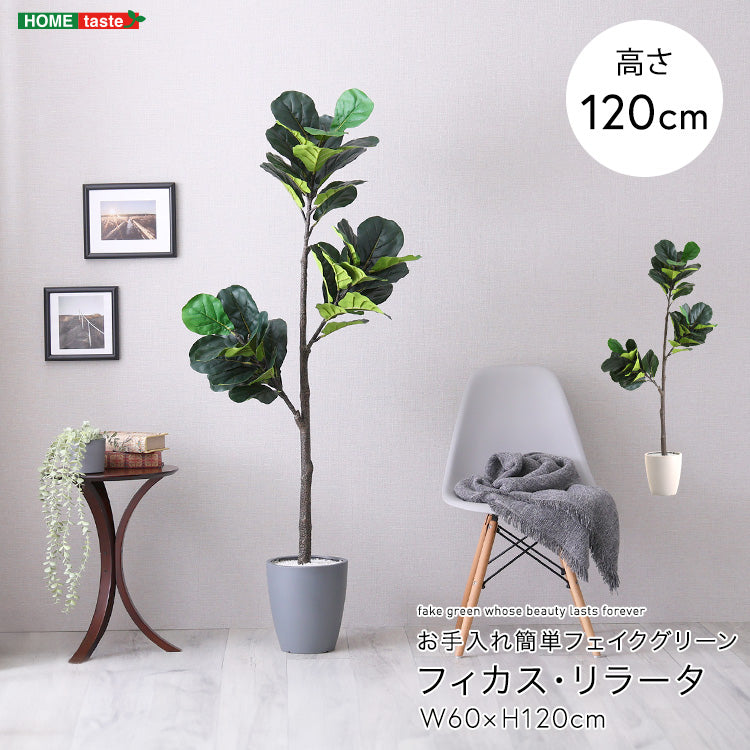お手入れ簡単フェイクグリーン　フィカス・リラータ　Sサイズ(120cm) インテリア 【代引不可】【北海道・沖縄・離島配送不可】