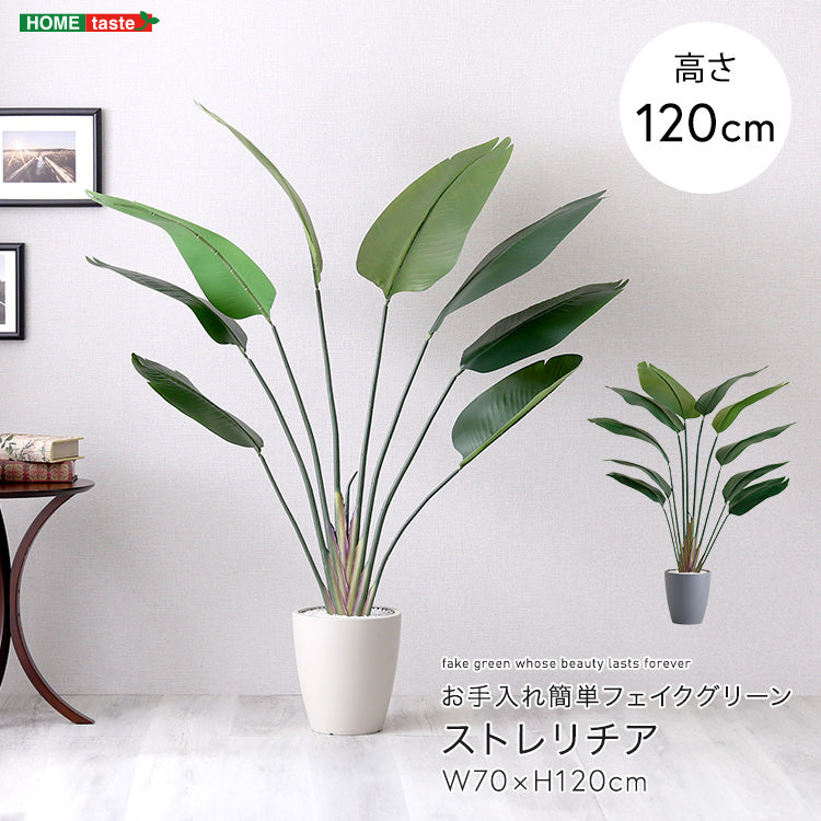 お手入れ簡単フェイクグリーン　ストレリチア　Sサイズ(120cm) インテリア 【代引不可】【北海道・沖縄・離島配送不可】