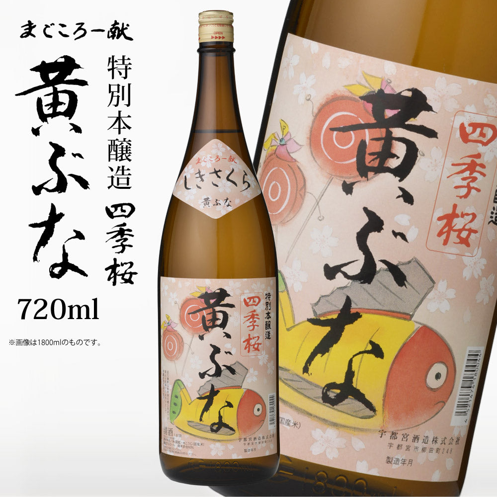四季桜本醸造黄ぶな720ml特別本醸造酒日本酒お酒本醸造酒やや辛口濃醇程好い酸味栃木宇都宮蔵元直送清酒地酒酒ギフトプレゼント【代引不可】【同梱不可】