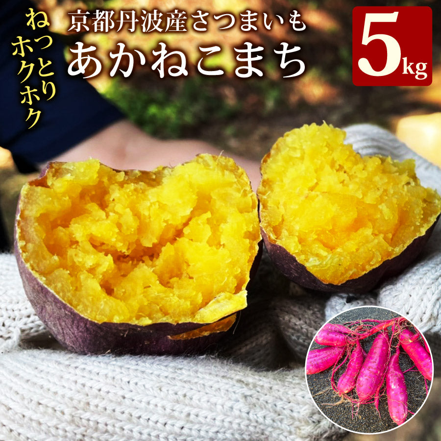 さつまいも産地直送サツマイモさつま芋京都府国産ねっとり系1箱5キロ箱売り食品吉田農園AKANE-5kg【代引不可】【同梱不可】
