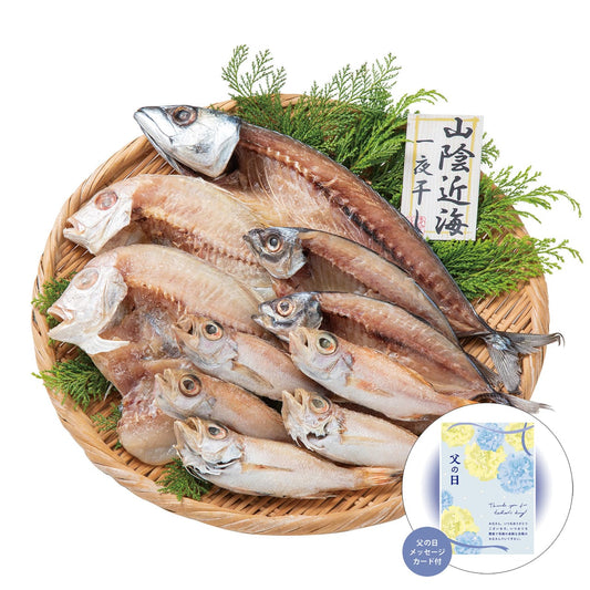 父の日山陰海鮮一夜干しセット感謝の気持ちを込めてプレゼントありがとう感謝4993-35【代引不可】【同梱不可】