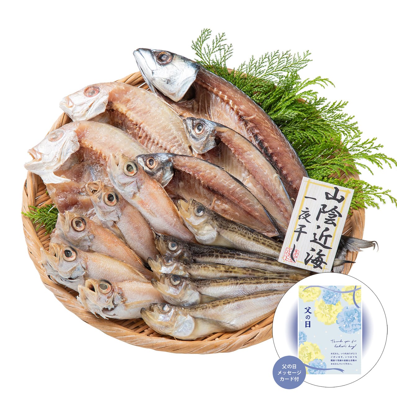 父の日山陰海鮮一夜干しセット感謝の気持ちを込めてプレゼントありがとう感謝4994-40【代引不可】【同梱不可】