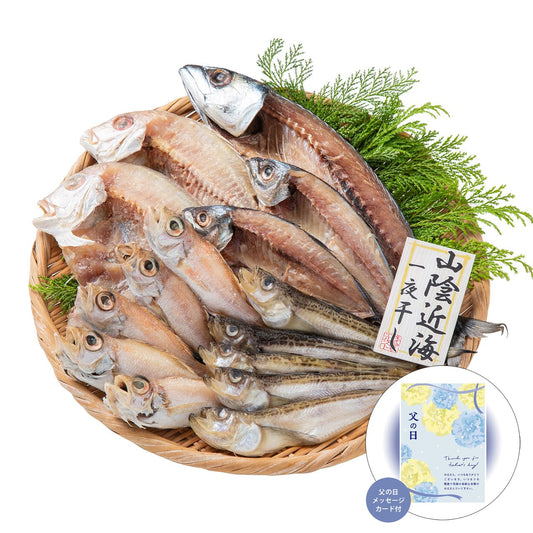 父の日山陰海鮮一夜干しセット感謝の気持ちを込めてプレゼントありがとう感謝4994-40【代引不可】【同梱不可】
