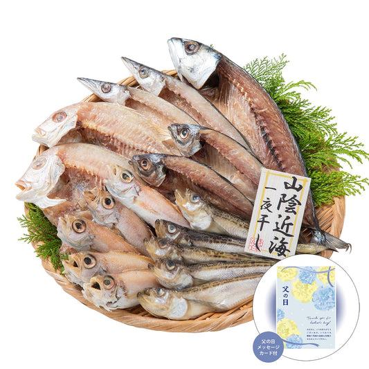 父の日山陰海鮮一夜干しセット感謝の気持ちを込めてプレゼントありがとう感謝4995-50【代引不可】【同梱不可】