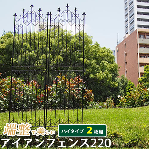 アイアンフェンス220 ハイタイプ（2枚組） ブラック【送料無料 フェンス アイアン  ガーデンフェンス ガーデニング 枠 柵 仕切り 目隠し 境目 クラシカル アンティーク トレリス ベランダ つる 薔薇 バラ 朝顔 園芸 ラティス】