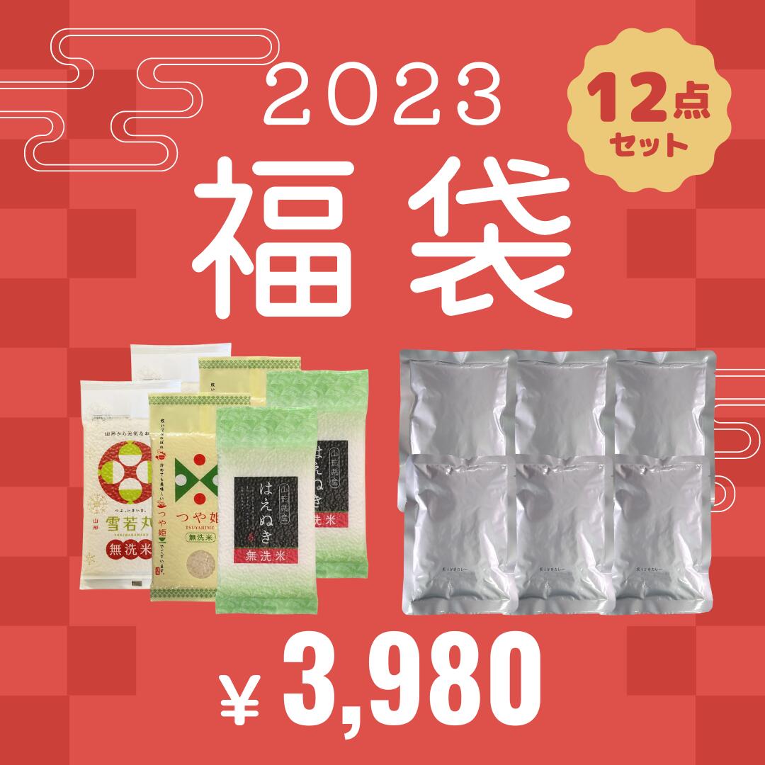 福袋2023年新生活家電セット空気清浄機加湿器サーキュレーターブレンダースチーマー靴乾燥機【代引不可】