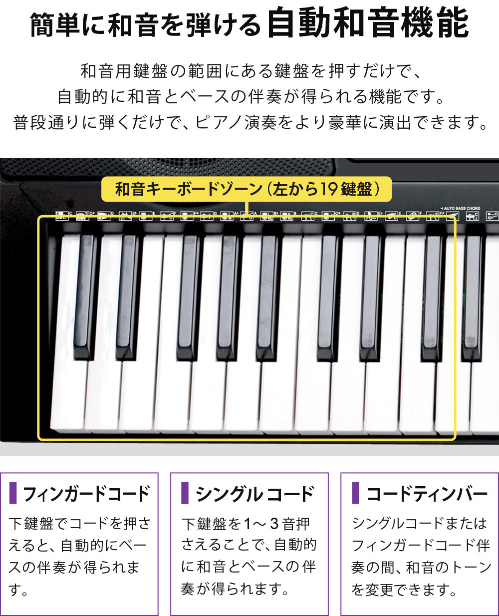 【当店限定180日延長保証】 Sun Ruck 電子キーボード 61鍵盤 1年保証 光る鍵盤 初心者 入門用 電子ピアノ キーボード 光るキーボード LED 発光キー 音楽 楽器 練習 初心者 子供 大人 PlayTouchFlash61 SR-DP04