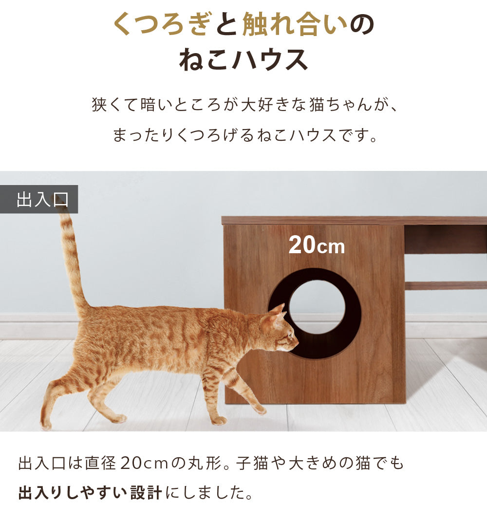 Sun Ruck センターテーブル 猫ハウス付き ローテーブル 収納付き 木目調 SR-EWF163-WN ウォールナット 猫用品