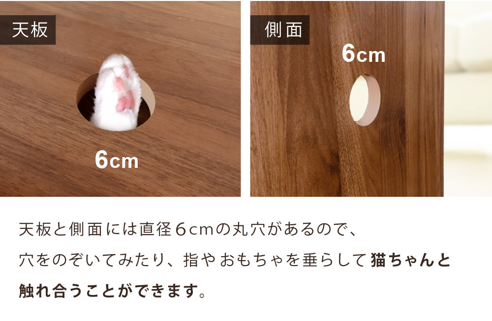 Sun Ruck センターテーブル 猫ハウス付き ローテーブル 収納付き 木目調 SR-EWF163-WN ウォールナット 猫用品