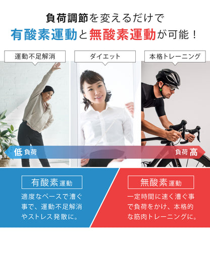 Sun Ruck フィットネスバイク 家庭用 エクササイズバイク 有酸素 運動 トレーニング バイク アップライト フィットネスマシン 筋トレバイク ダイエット スポーツ 運動器具 室内 SR-FB801