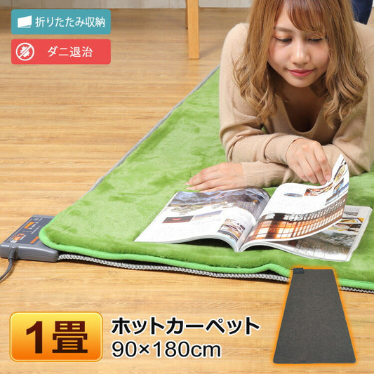90×180cmTEKNOS（テクノス）1畳用カーペット本体TWA-1000B