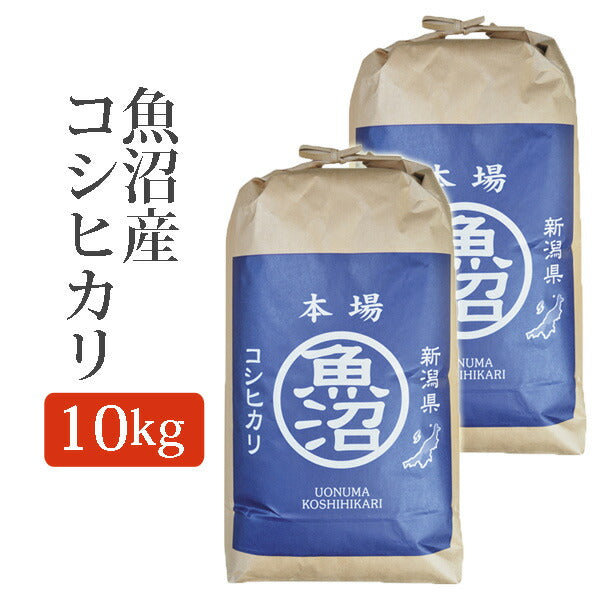 玄米魚沼産コシヒカリこしひかり玄米10Kg(10キロ)5kg×2袋新米令和元年産2019年産玄米魚沼産コシヒカリu-koshihikari-g5k2p【代引不可】【同梱不可】