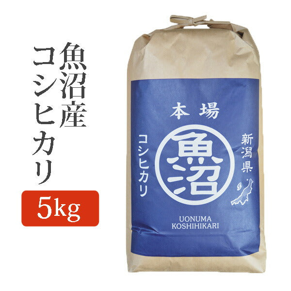 玄米魚沼産コシヒカリこしひかり玄米5Kg(5キロ)新米令和元年産2019年産玄米魚沼産コシヒカリu-koshihikari-g5k【代引不可】【同梱不可】